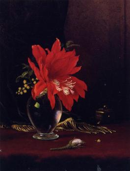 馬丁 約翰遜 赫德 Red Flower in a Vase